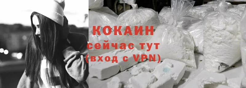 MEGA ТОР  Бологое  Cocaine VHQ 